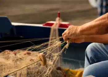 Pescador manuseando redes de pesca dentro de um barco, representando os trabalhadores que podem se beneficiar do Seguro-Defeso, cujo prazo foi ampliado até junho de 2026.