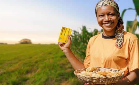 Agricultora negra sorridente com lenço, segura cartão CAIXA e cesta de espigas de milho em plantação verde
